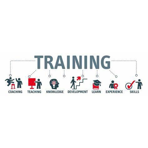 Activity-3-Training-Program